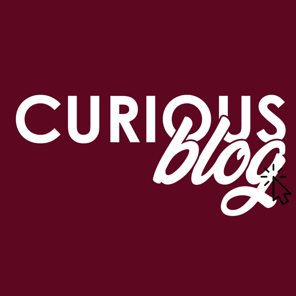 logo du Curious Blog