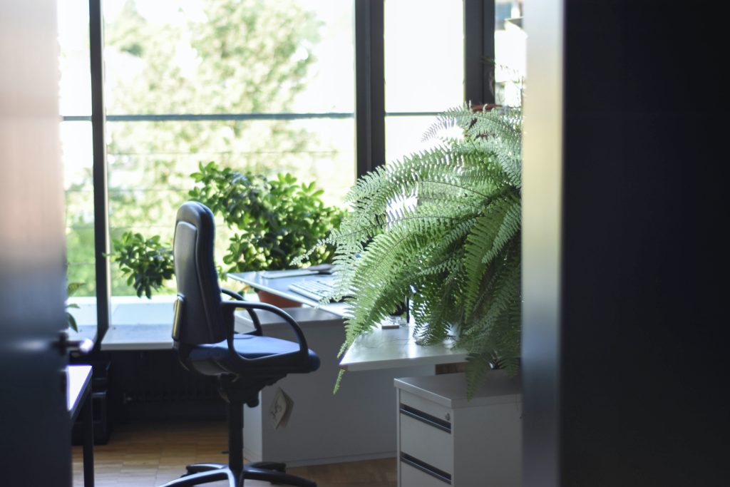 Bureau avec verdure