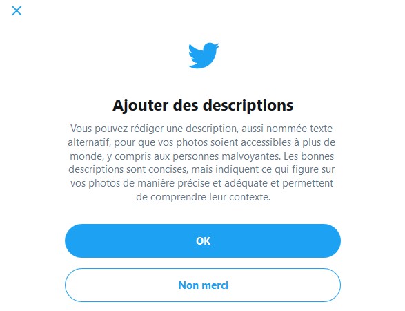 Proposition de description d’image sur X (anciennement Twitter) (source : avh.asso.fr)